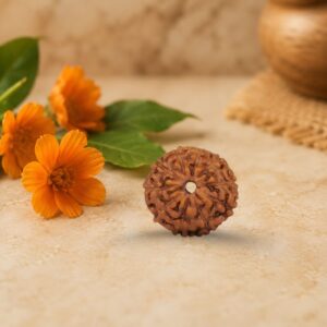 10 Mukhi Rudraksha (Dashmukhi)