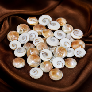 Gomti Chakra